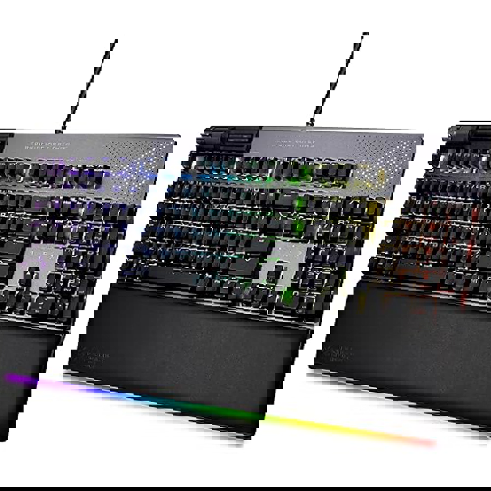 7427207271744328_195b4fde.jpg