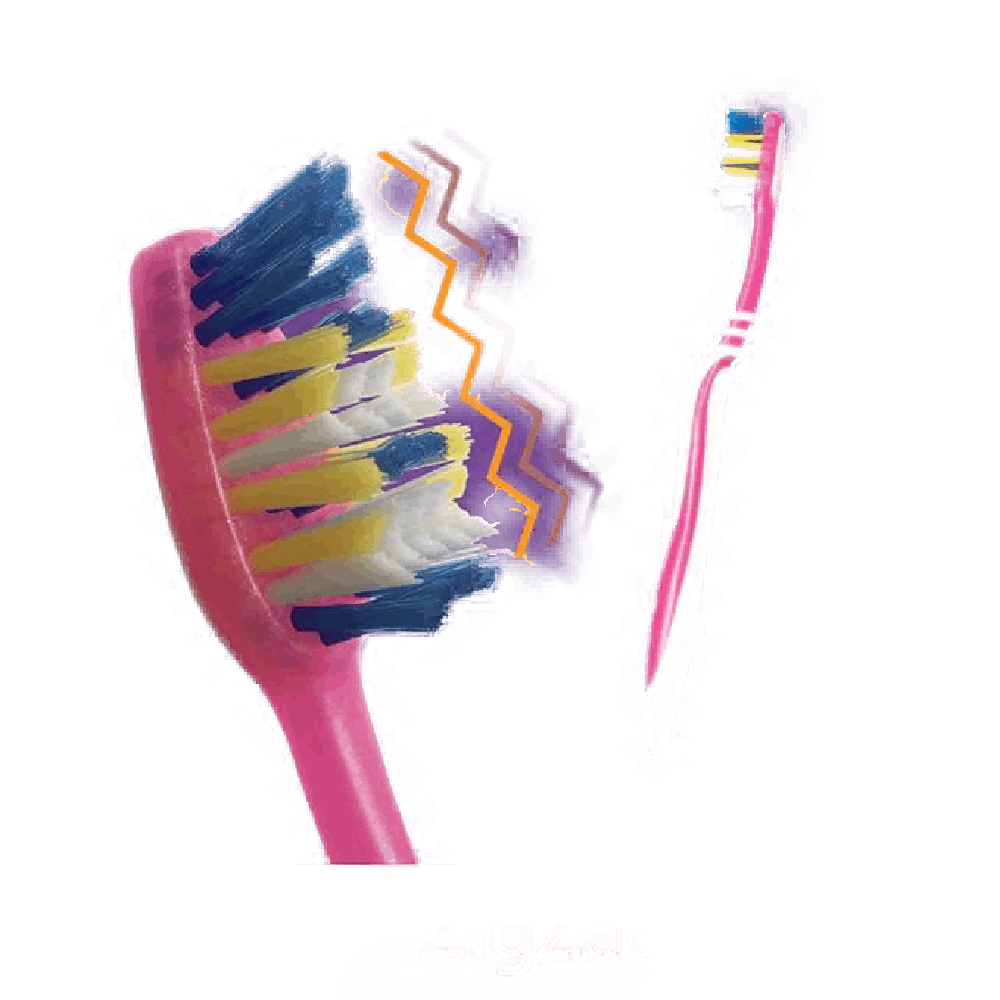 421a077d_IM31112039_2.png
